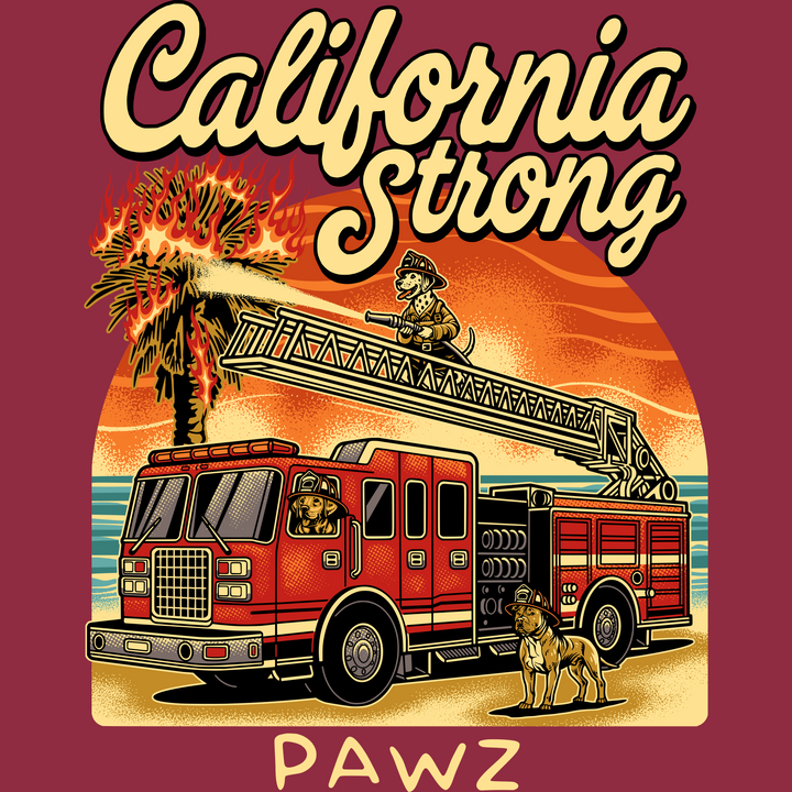 California Strong (Adult Hoodie)